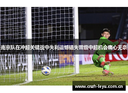 南京队在冲超关键战中失利遗憾错失晋级中超机会痛心无奈